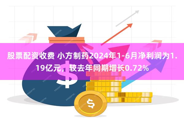 股票配资收费 小方制药2024年1-6月净利润为1.19亿元，较去年同期增长0.72%