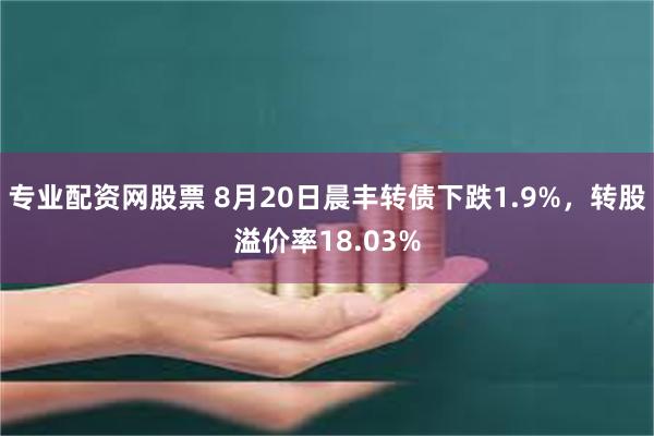 专业配资网股票 8月20日晨丰转债下跌1.9%，转股溢价率18.03%