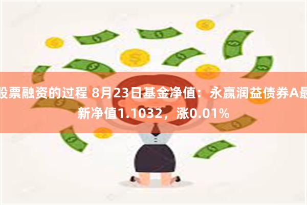 股票融资的过程 8月23日基金净值：永赢润益债券A最新净值1.1032，涨0.01%