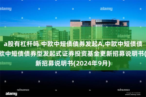 a股有杠杆吗 中欧中短债债券发起A,中欧中短债债券发起C: 中欧中短债债券型发起式证券投资基金更新招募说明书(2024年9月)