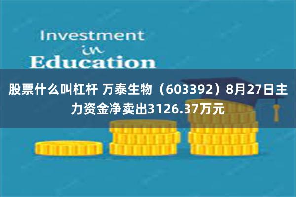 股票什么叫杠杆 万泰生物（603392）8月27日主力资金净卖出3126.37万元