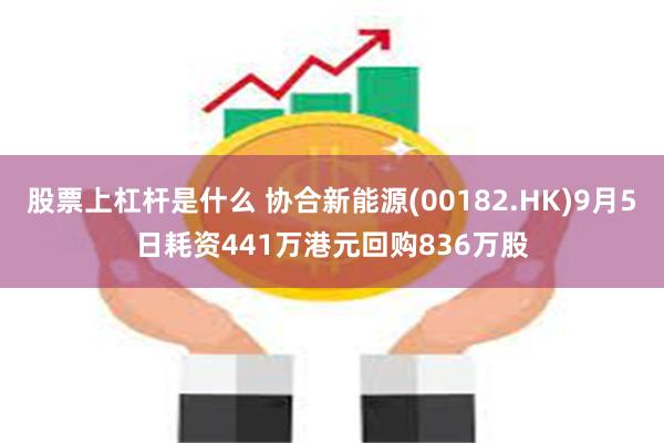 股票上杠杆是什么 协合新能源(00182.HK)9月5日耗资441万港元回购836万股