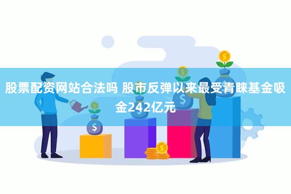 股票配资网站合法吗 股市反弹以来最受青睐基金吸金242亿元