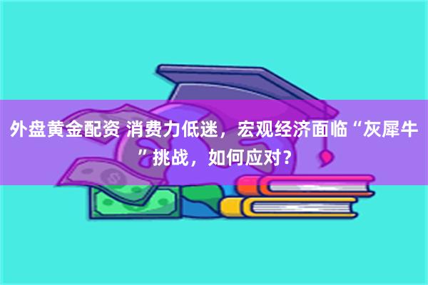 外盘黄金配资 消费力低迷，宏观经济面临“灰犀牛”挑战，如何应对？