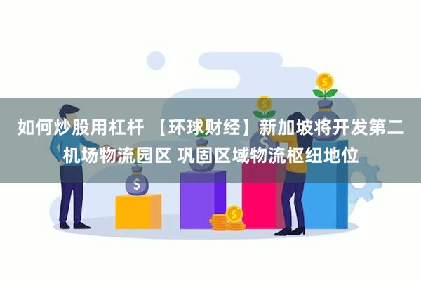 如何炒股用杠杆 【环球财经】新加坡将开发第二机场物流园区 巩固区域物流枢纽地位