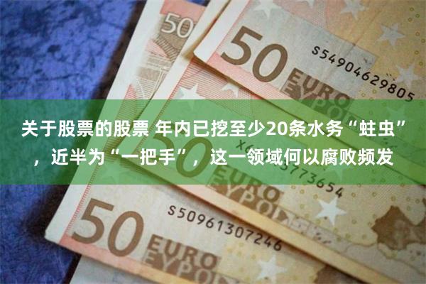 关于股票的股票 年内已挖至少20条水务“蛀虫”，近半为“一把手”，这一领域何以腐败频发