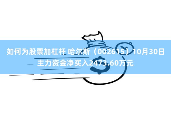 如何为股票加杠杆 哈尔斯（002615）10月30日主力资金净买入2473.60万元