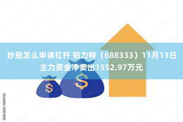 炒股怎么申请杠杆 铂力特（688333）11月13日主力资金净卖出1552.97万元