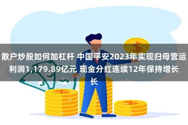 散户炒股如何加杠杆 中国平安2023年实现归母营运利润1,179.89亿元 现金分红连续12年保持增长