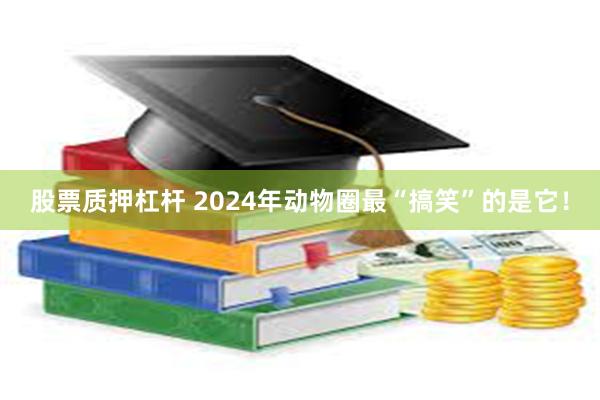 股票质押杠杆 2024年动物圈最“搞笑”的是它！