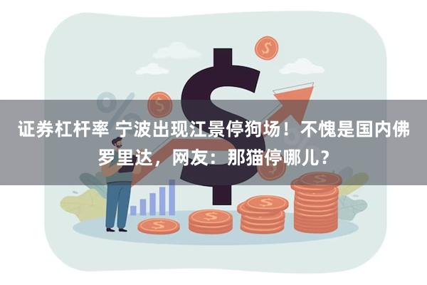 证券杠杆率 宁波出现江景停狗场！不愧是国内佛罗里达，网友：那猫停哪儿？