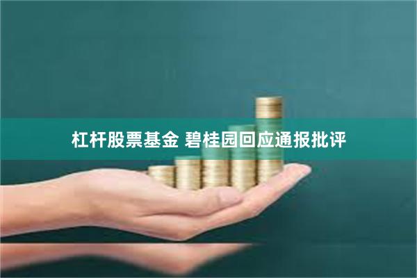 杠杆股票基金 碧桂园回应通报批评