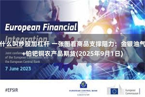 什么叫炒股加杠杆 一张图看商品支撑阻力:金银油气+铂钯铜农产品期货(2025年9月1日) 什么叫炒股加杠杆 一张图看商品支撑阻力:金银油气+铂钯铜农产品期货(2025年9月1日)